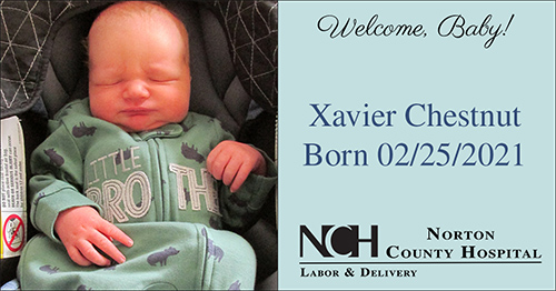Xavier Chestnut Xavier Chestnut