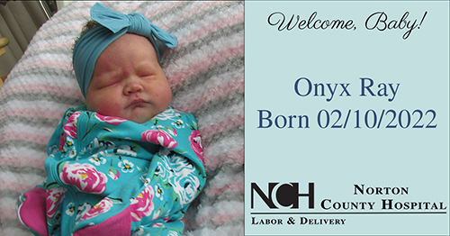 Onyx Ray Onyx Ray