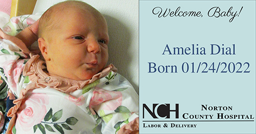 Amelia Dial Amelia Dial