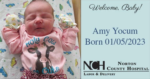 Amy Yocum Amy Yocum