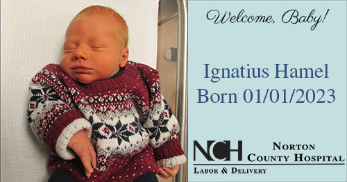 Ignatius Hamel Ignatius Hamel