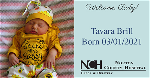 Tavara Brill Tavara Brill
